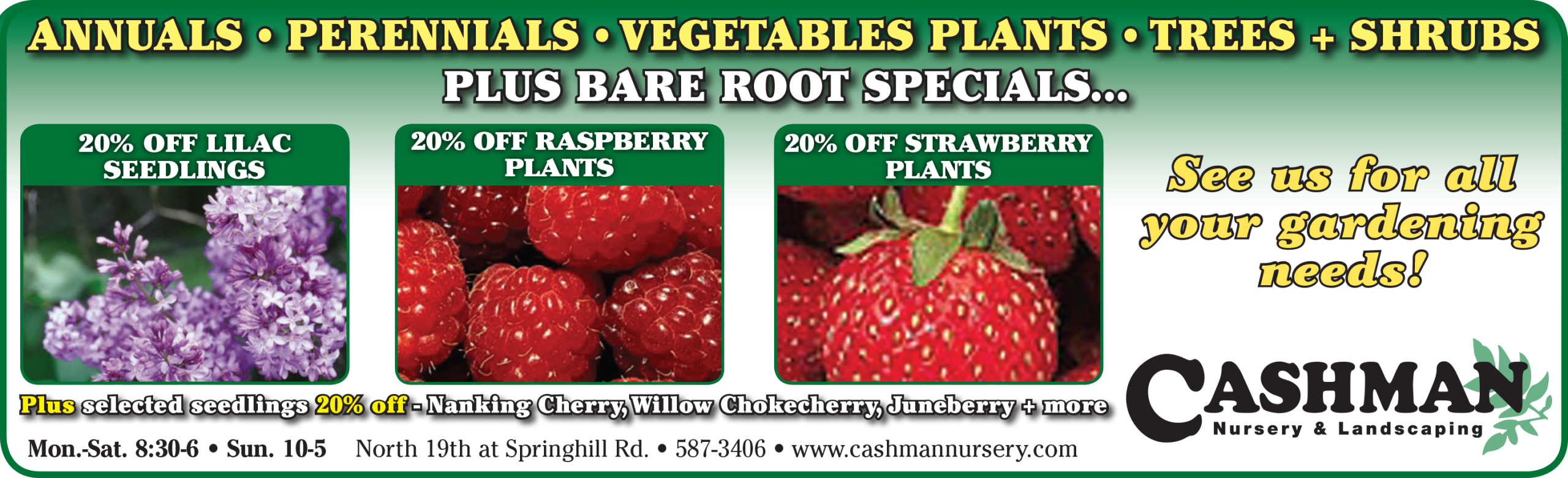 Website Content Management Marketing Assistance Ads Bozeman Nursery