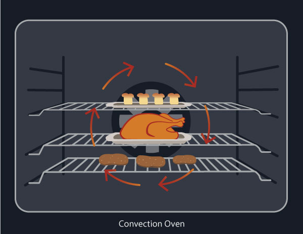 convection oven illustration
