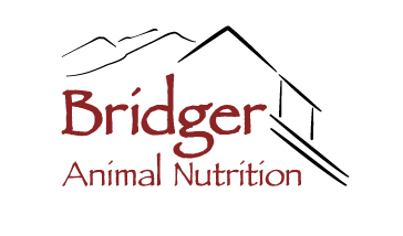 Animal Feed Store Logo Design