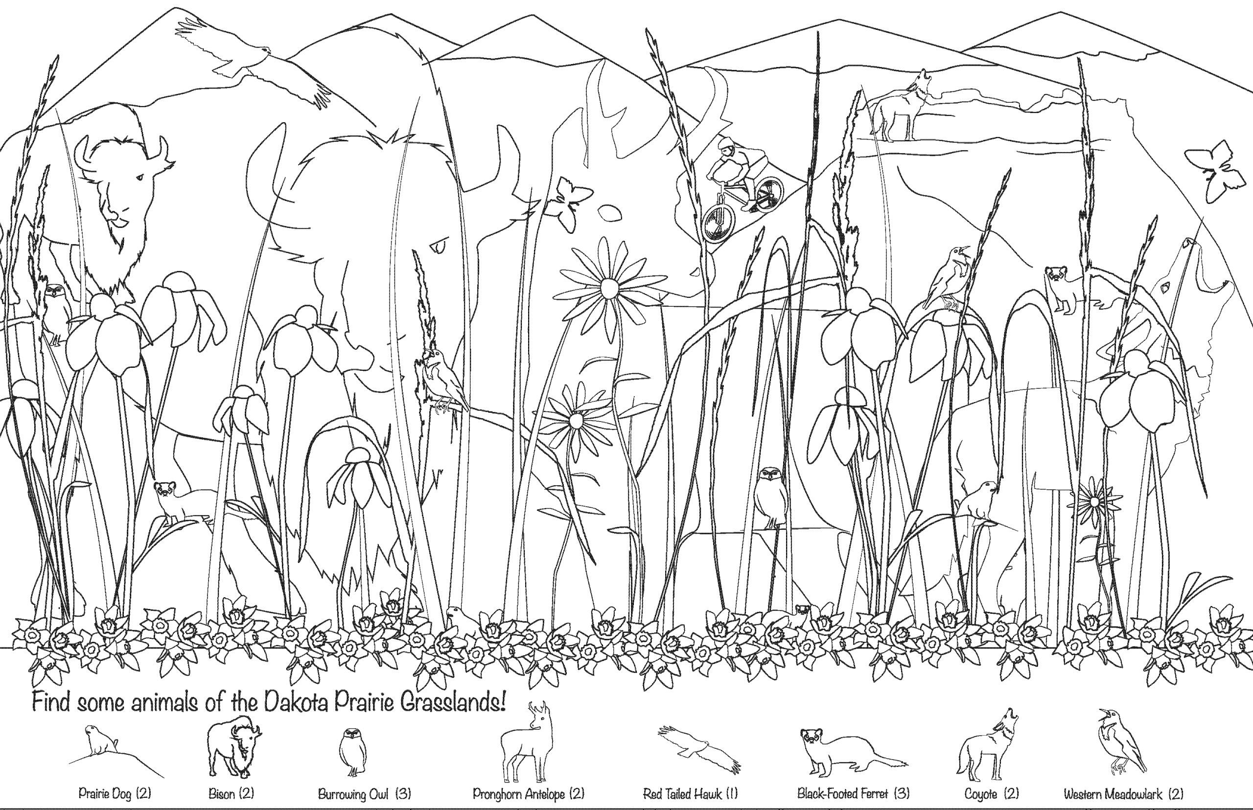 Coloring book page illustration
