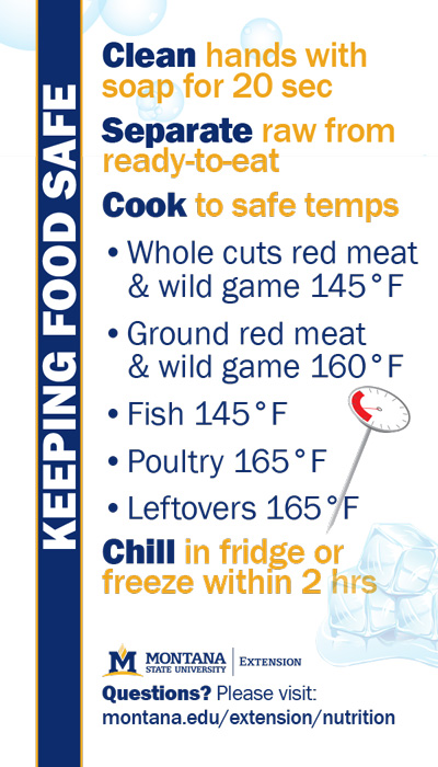 food safety magnet design