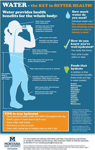 Hydration poster design