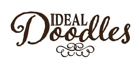 Doodle logo