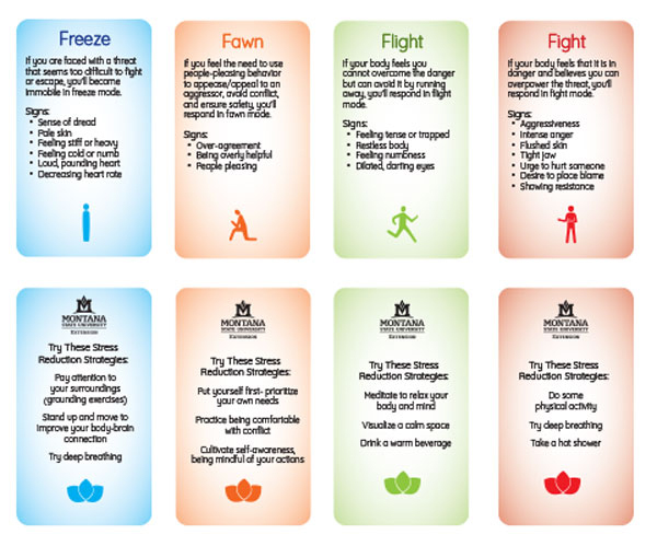 stress response card design