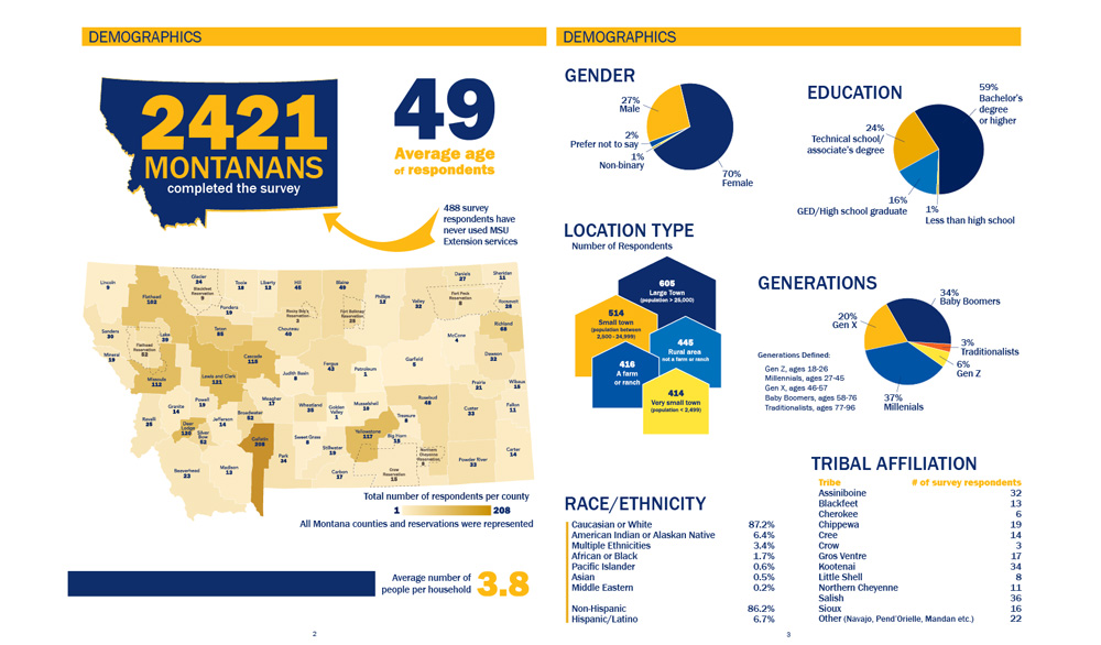 statewide survey report