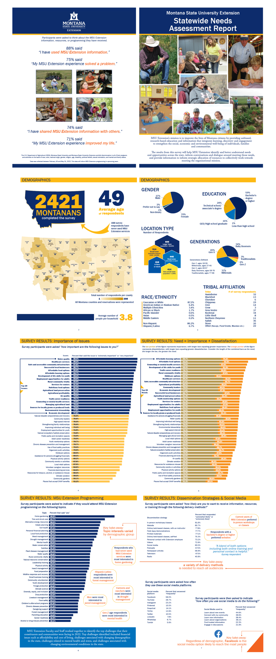 statewide report graphic design