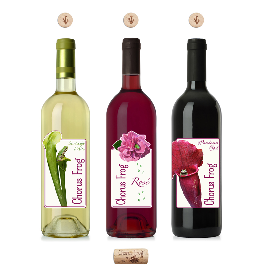 Wine bottle lable design